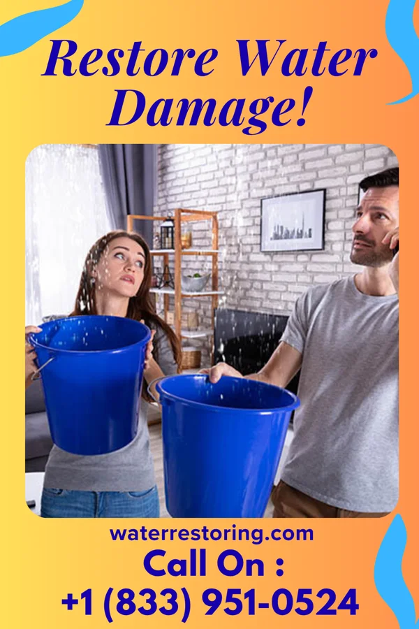 water restoration Ultimate Cleanup Force Yankee Lake