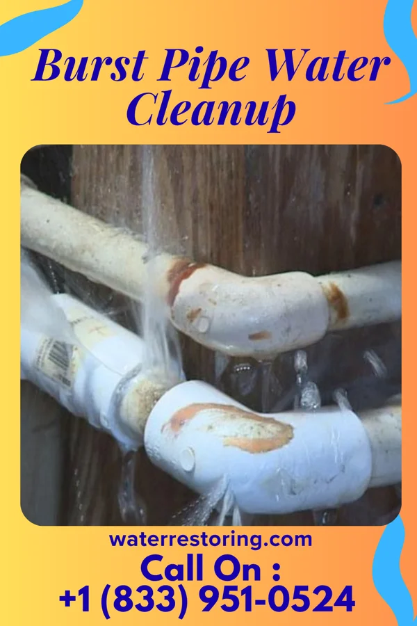 Burst Pipe Water Cleanup in Yankee Lake, OH