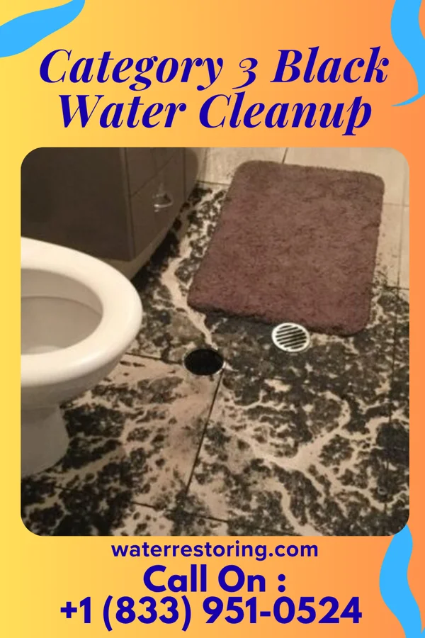 Category 3 Black Water Cleanup in Yankee Lake, OH