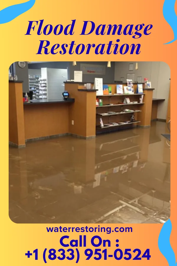 Flood Damage Restoration in Yankee Lake, OH