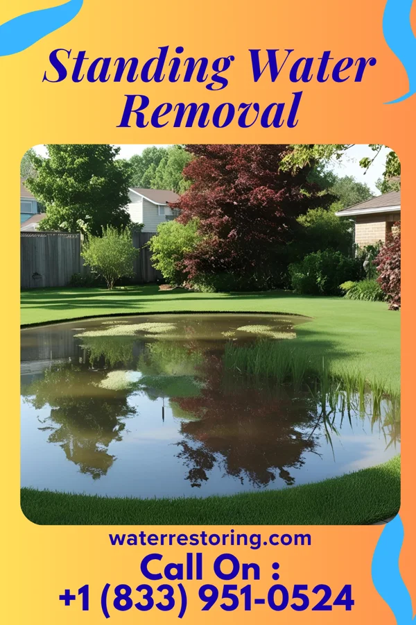 Standing Water Removal in Yankee Lake, OH